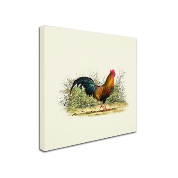 The Macneil Studio 'Cockerel' Canvas Art,35x35